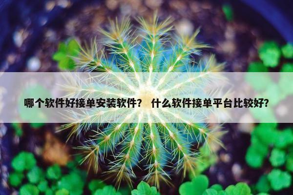 哪个软件好接单安装软件？ 什么软件接单平台比较好？