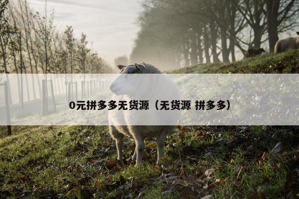 0元拼多多无货源（无货源 拼多多）