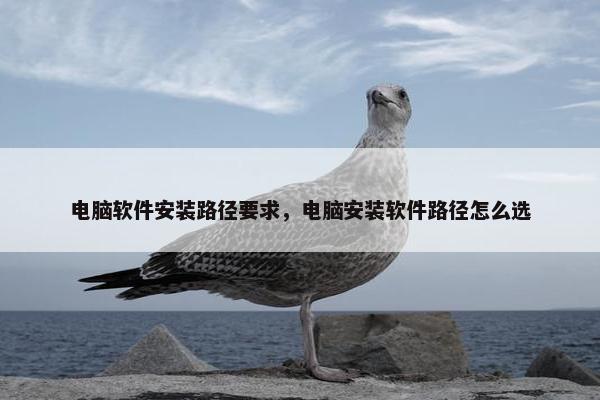电脑软件安装路径要求，电脑安装软件路径怎么选