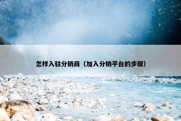 怎样入驻分销商（加入分销平台的步骤）