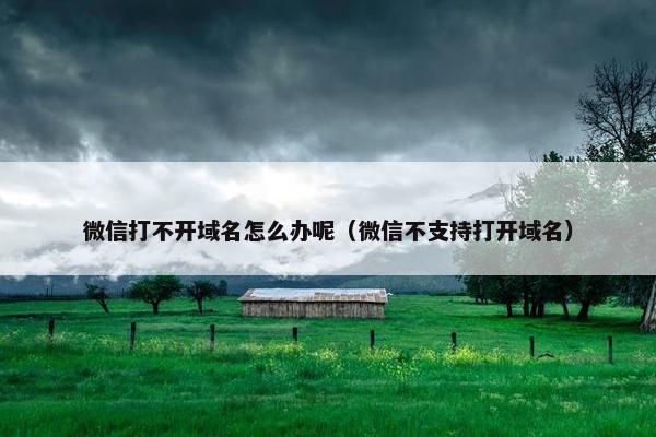 微信打不开域名怎么办呢（微信不支持打开域名）