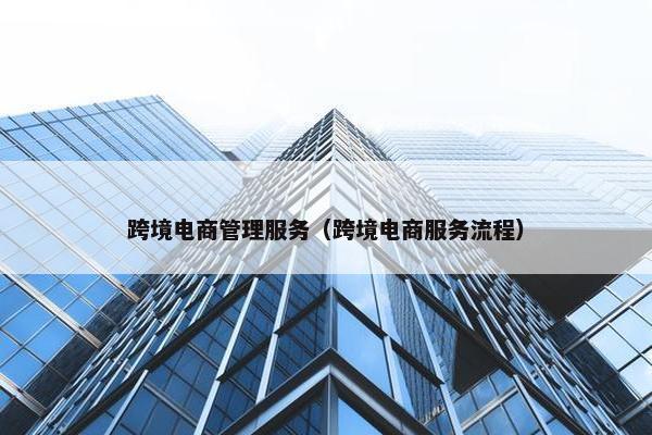 跨境电商管理服务（跨境电商服务流程）