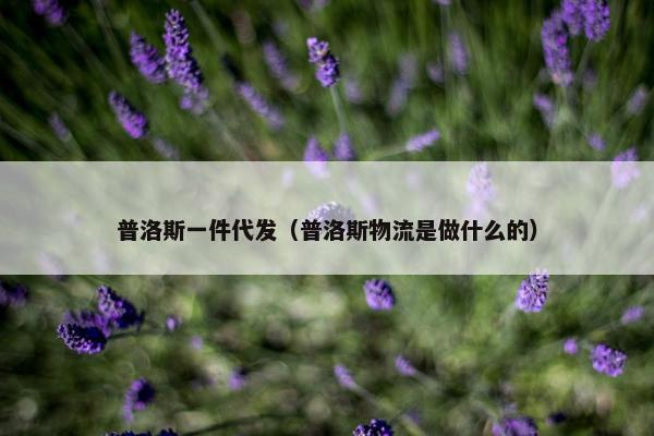 普洛斯一件代发（普洛斯物流是做什么的）