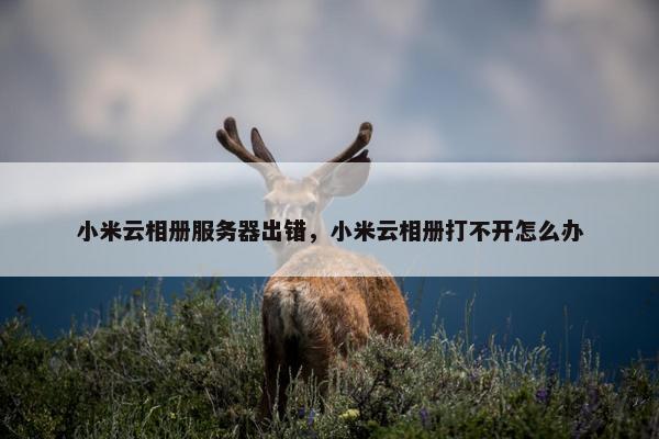 小米云相册服务器出错，小米云相册打不开怎么办