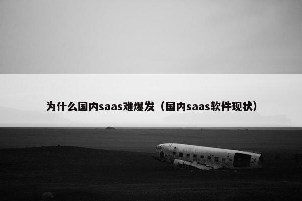 为什么国内saas难爆发（国内saas软件现状）