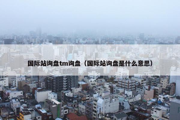 国际站询盘tm询盘（国际站询盘是什么意思）
