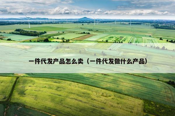 一件代发产品怎么卖（一件代发做什么产品）