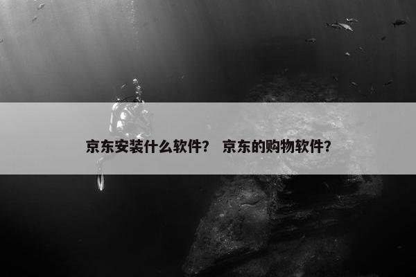 京东安装什么软件？ 京东的购物软件？