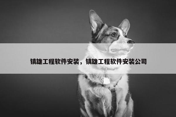 镇雄工程软件安装，镇雄工程软件安装公司