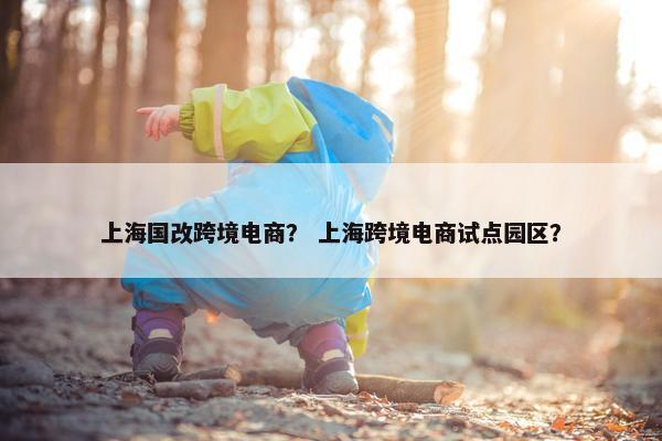 上海国改跨境电商？ 上海跨境电商试点园区？