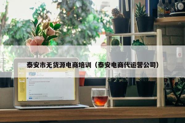 泰安市无货源电商培训（泰安电商代运营公司）