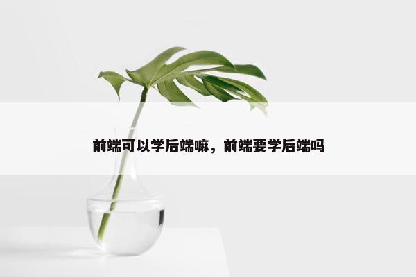 前端可以学后端嘛，前端要学后端吗