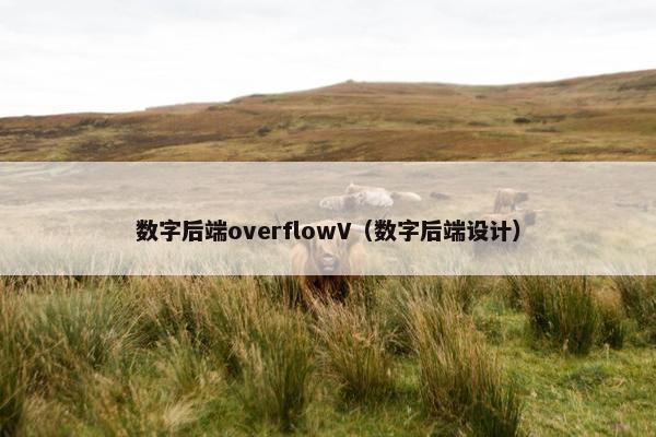 数字后端overflowV（数字后端设计）