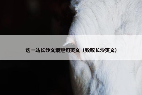 这一站长沙文案短句英文（致敬长沙英文）