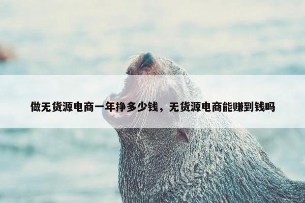 做无货源电商一年挣多少钱，无货源电商能赚到钱吗
