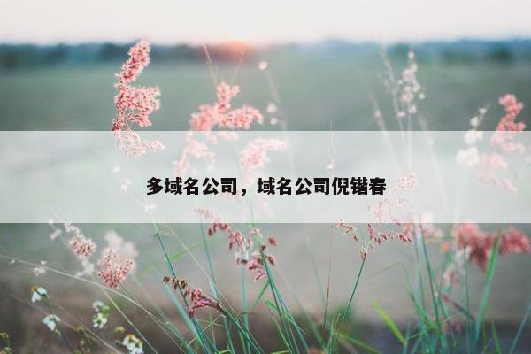 多域名公司，域名公司倪锴春