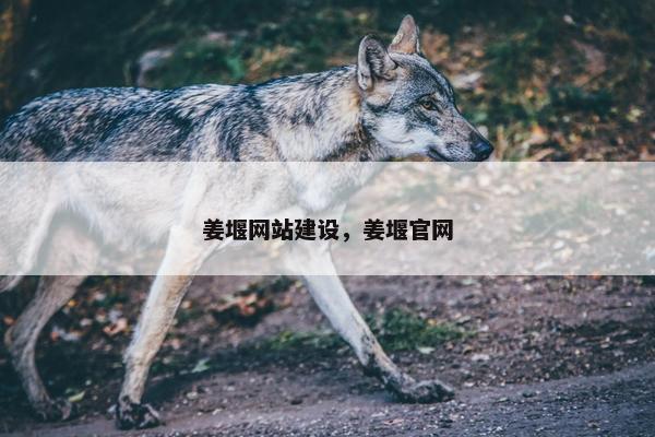 姜堰网站建设，姜堰官网