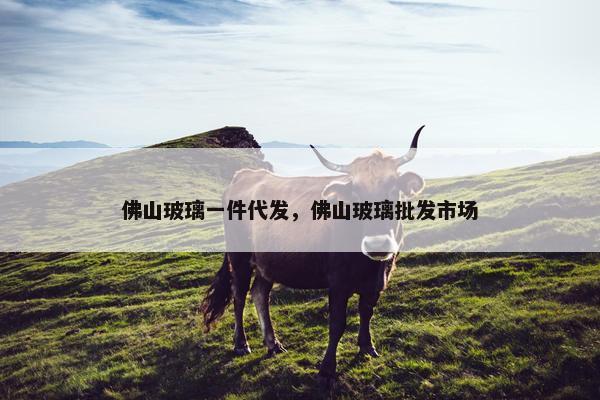 佛山玻璃一件代发，佛山玻璃批发市场