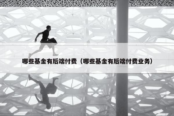 哪些基金有后端付费（哪些基金有后端付费业务）