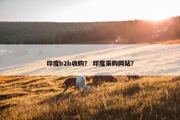 印度b2b收购？ 印度采购网站？