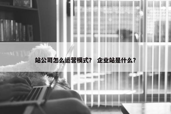 站公司怎么运营模式？ 企业站是什么？