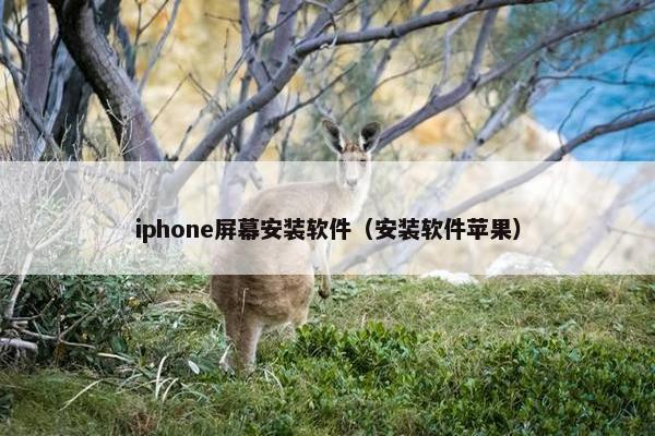 iphone屏幕安装软件（安装软件苹果）