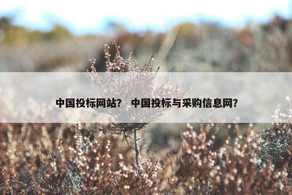 中国投标网站？ 中国投标与采购信息网？