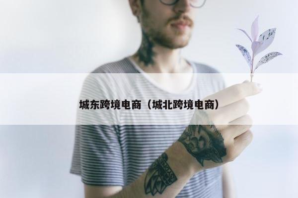 城东跨境电商（城北跨境电商）