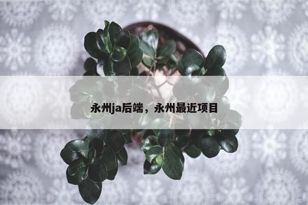 永州ja后端，永州最近项目