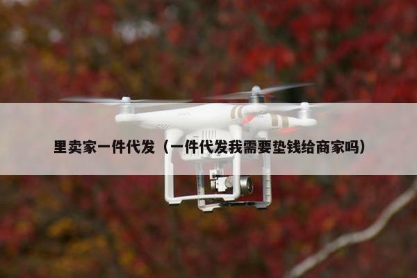 里卖家一件代发（一件代发我需要垫钱给商家吗）