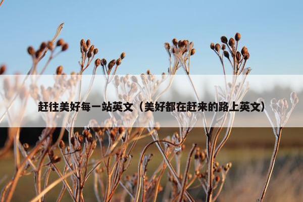 赶往美好每一站英文（美好都在赶来的路上英文）