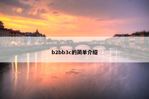 b2bb3c的简单介绍