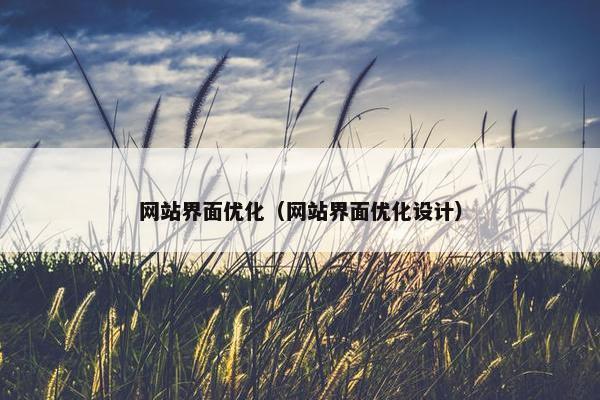 网站界面优化（网站界面优化设计）