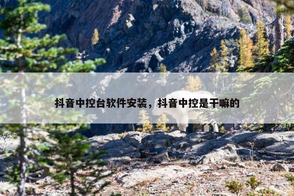 抖音中控台软件安装，抖音中控是干嘛的
