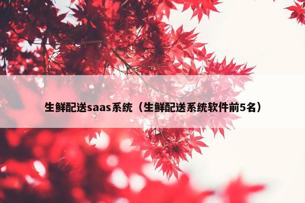 生鲜配送saas系统（生鲜配送系统软件前5名）