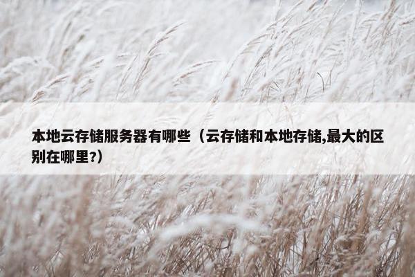 本地云存储服务器有哪些（云存储和本地存储,最大的区别在哪里?）