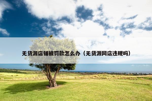 无货源店铺被罚款怎么办（无货源网店违规吗）