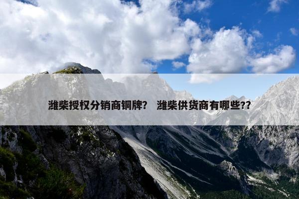 潍柴授权分销商铜牌？ 潍柴供货商有哪些?？