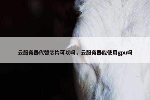云服务器代替芯片可以吗，云服务器能使用gpu吗