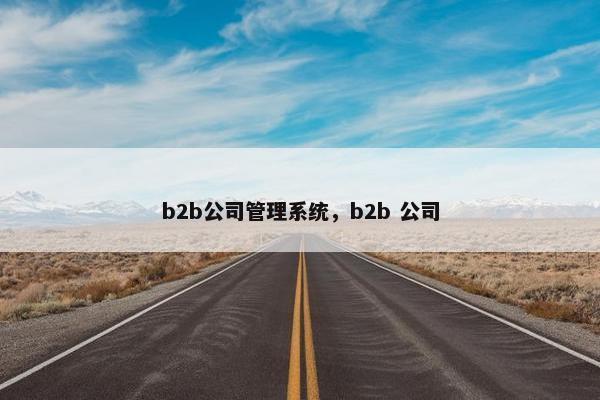 b2b公司管理系统，b2b 公司