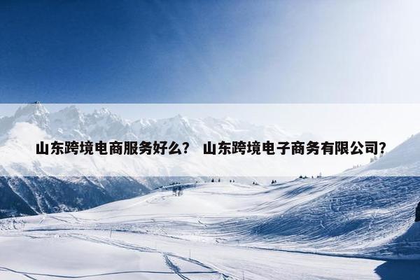 山东跨境电商服务好么？ 山东跨境电子商务有限公司？