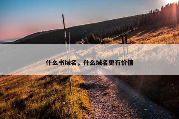 什么书域名，什么域名更有价值