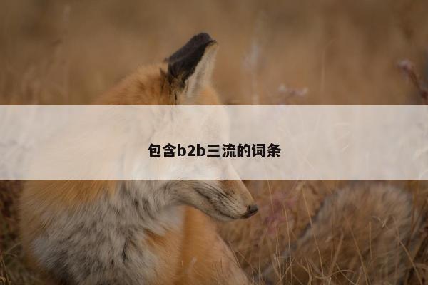 包含b2b三流的词条