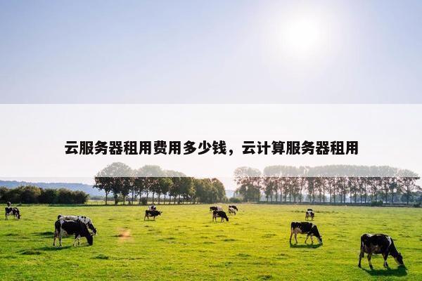 云服务器租用费用多少钱，云计算服务器租用