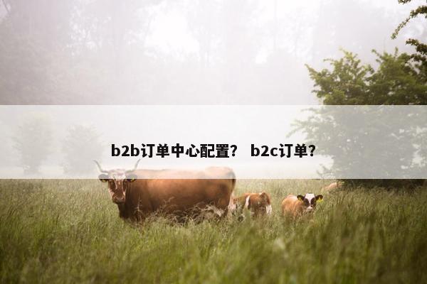 b2b订单中心配置？ b2c订单？