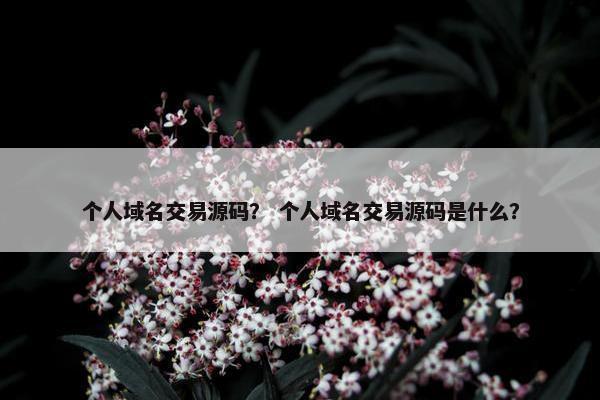 个人域名交易源码？ 个人域名交易源码是什么？