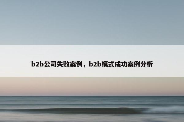 b2b公司失败案例，b2b模式成功案例分析