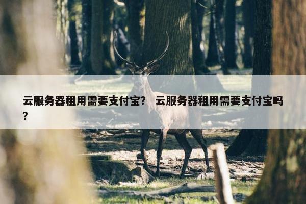 云服务器租用需要支付宝？ 云服务器租用需要支付宝吗？