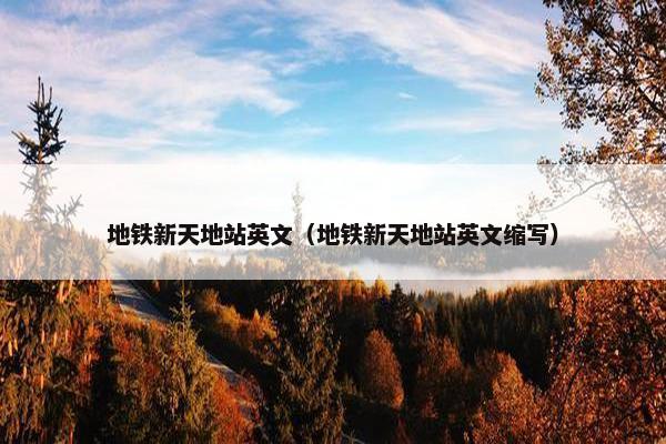 地铁新天地站英文（地铁新天地站英文缩写）