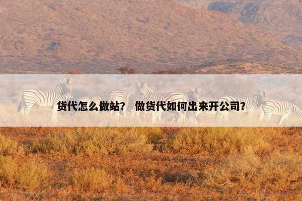 货代怎么做站？ 做货代如何出来开公司？